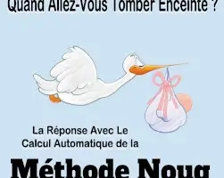 Méthode Noug : Calcul Automatique Pour Prédire Une Grossesse